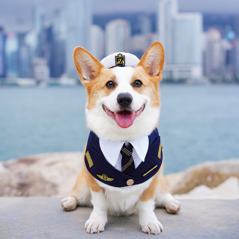 MOMOJI Air • Pilot | Pet Bib