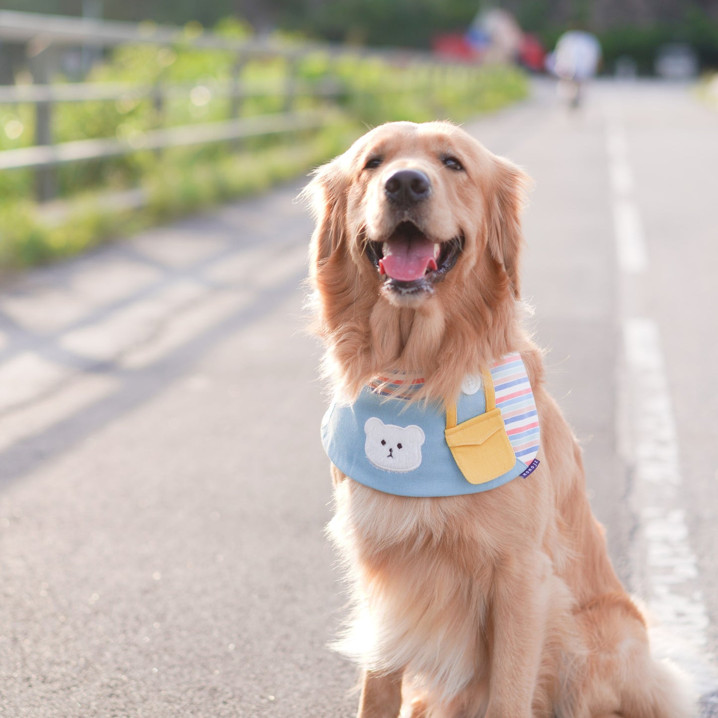 MOMOJI Bear Boys | Pet Bib
