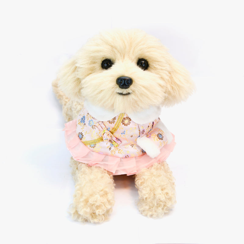 MOMOJI Jade 玉仁 | Pet LNY Neckwear