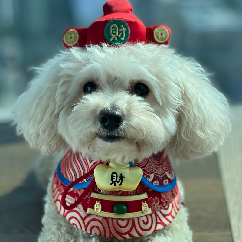 MOMOJI God of Wealth 財神 (Maroon Red) | LNY Hat + Neckwear Set