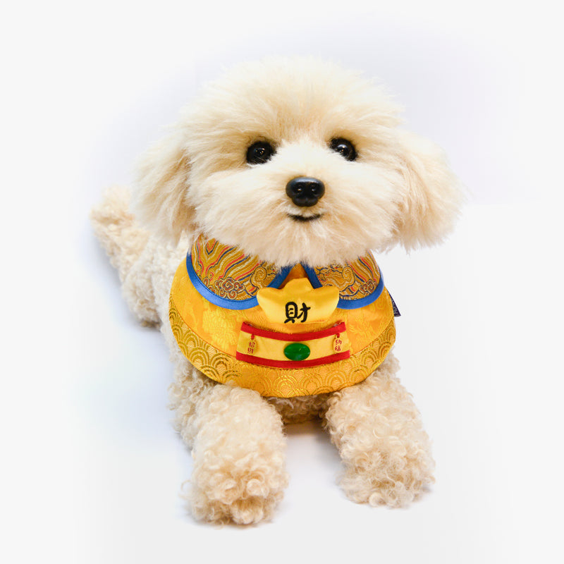 MOMOJI God of Wealth 財神 (Golden Yellow) | LNY Hat + Neckwear Set