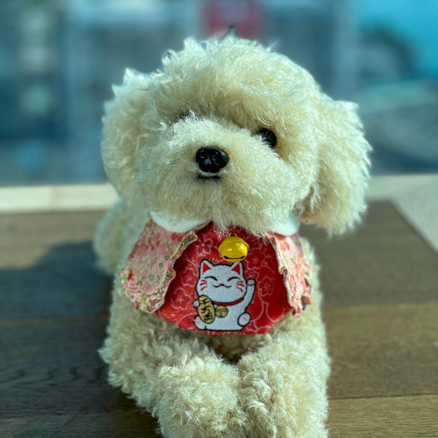 MOMOJI Fortune Cat SP 招財貓 | Pet LNY Neckwear