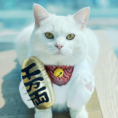 MOMOJI Fortune Cat | Pet Neckwear