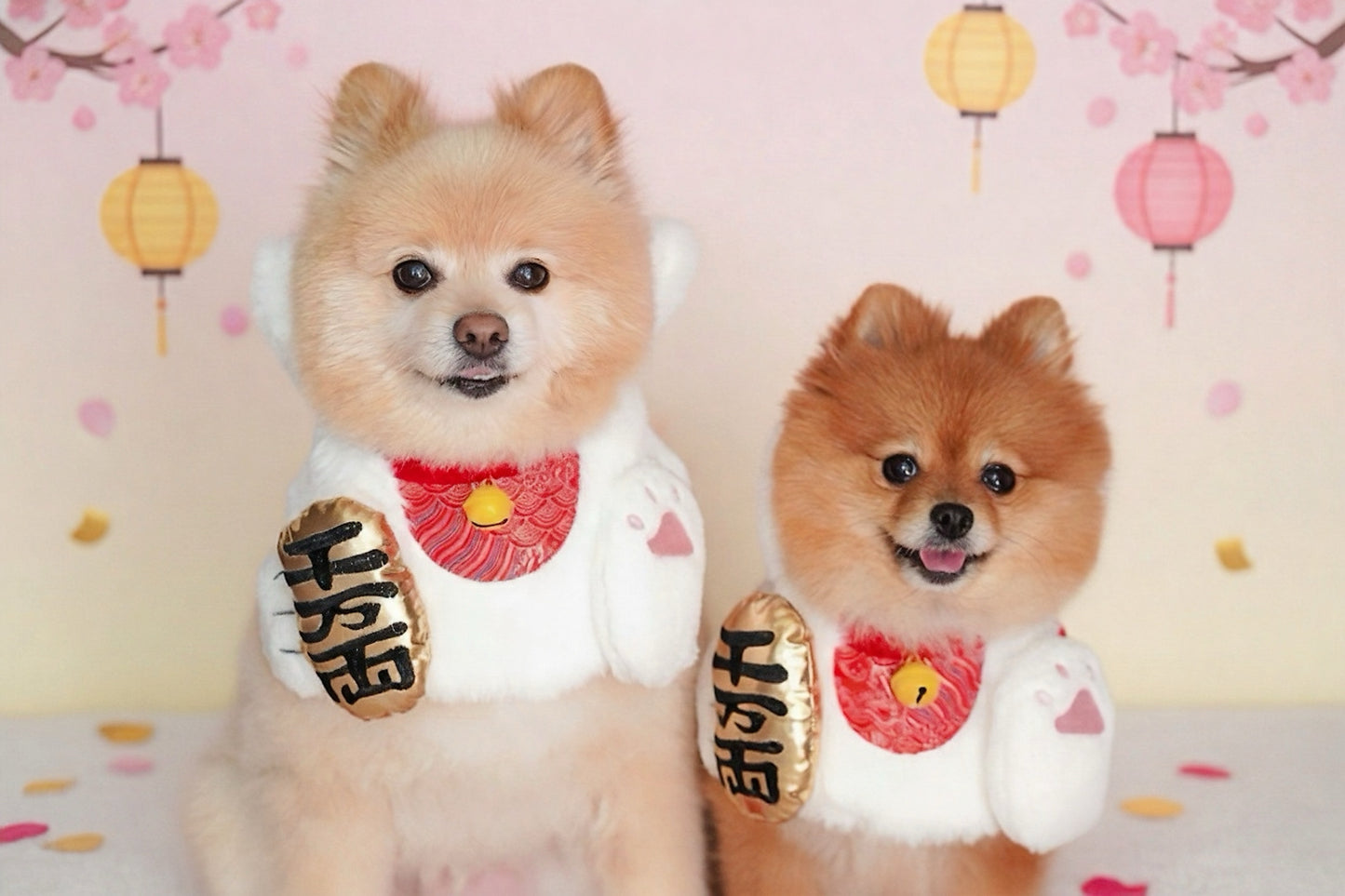 MOMOJI Fortune Cat | Pet Neckwear