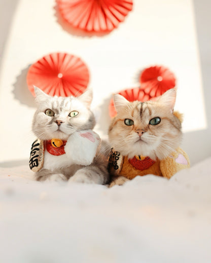 MOMOJI Fortune Cat | Pet Neckwear