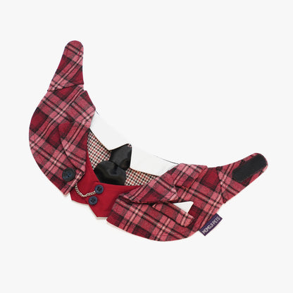 MOMOJI Phillip | Pet Bib