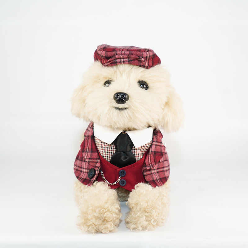 MOMOJI Phillip | Pet Bib
