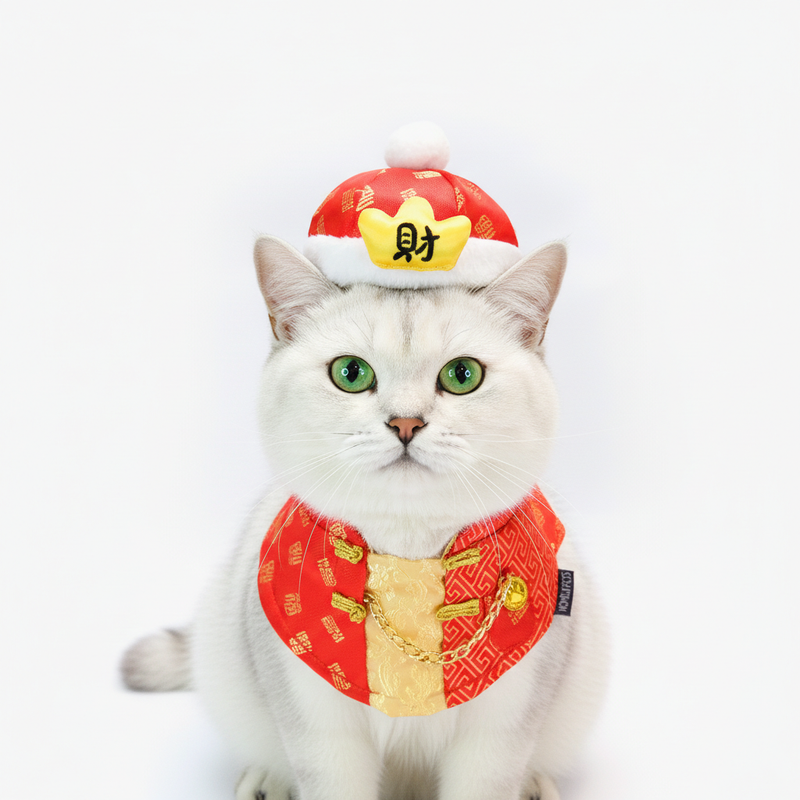 MOMOJI Charlton 財通 | Pet LNY Hat