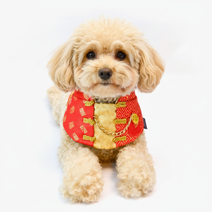 MOMOJI Wayne 永泰 | Pet LNY Neckwear