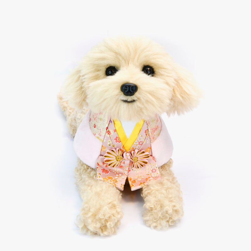 MOMOJI Vermillion 朱雀 | Pet LNY Neckwear