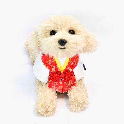 MOMOJI Vermillion 朱雀 | Pet LNY Neckwear