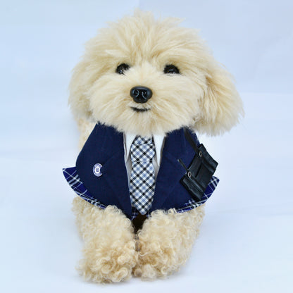 MOMOJI Morrison Hill Boys | Pet Bib