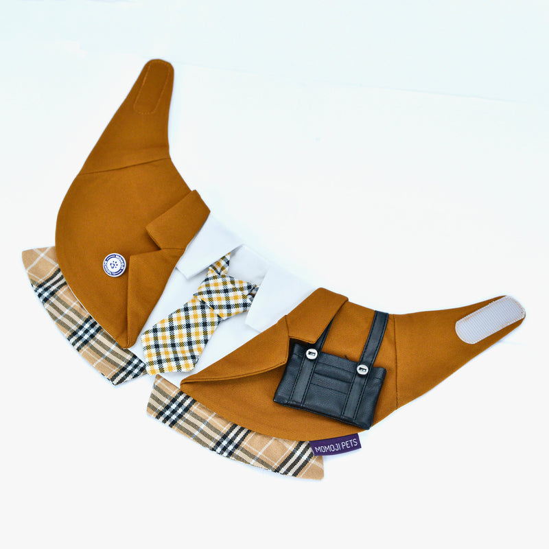 MOMOJI Morrison Hill Boys | Pet Bib