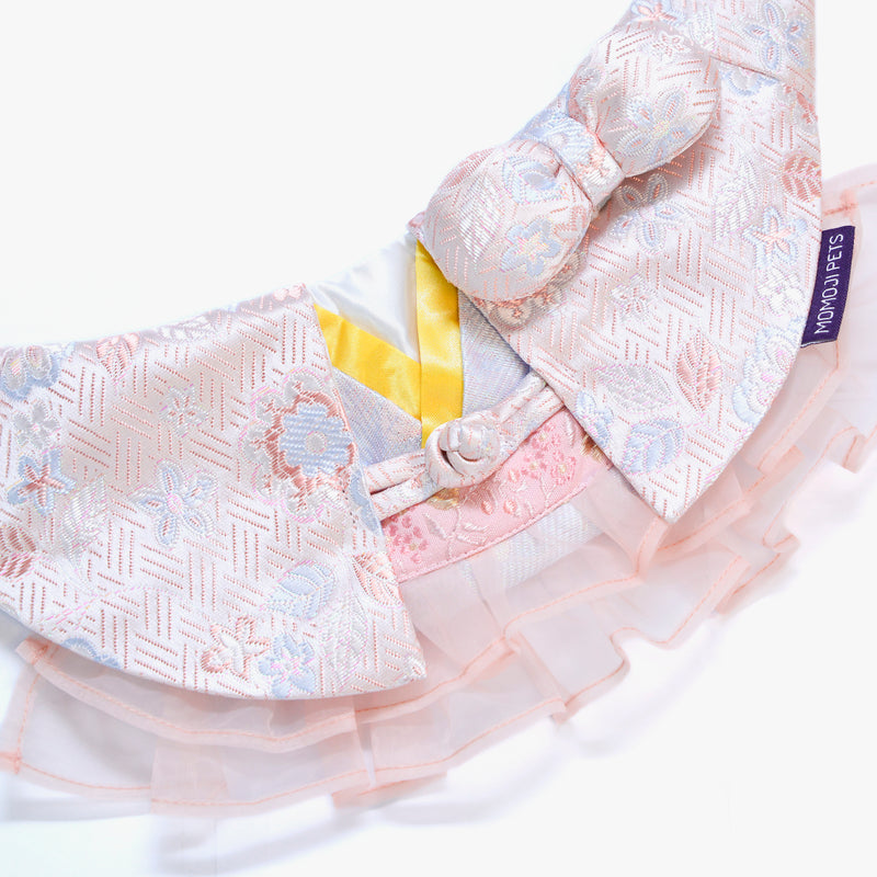 MOMOJI Shine | Pet Neckwear