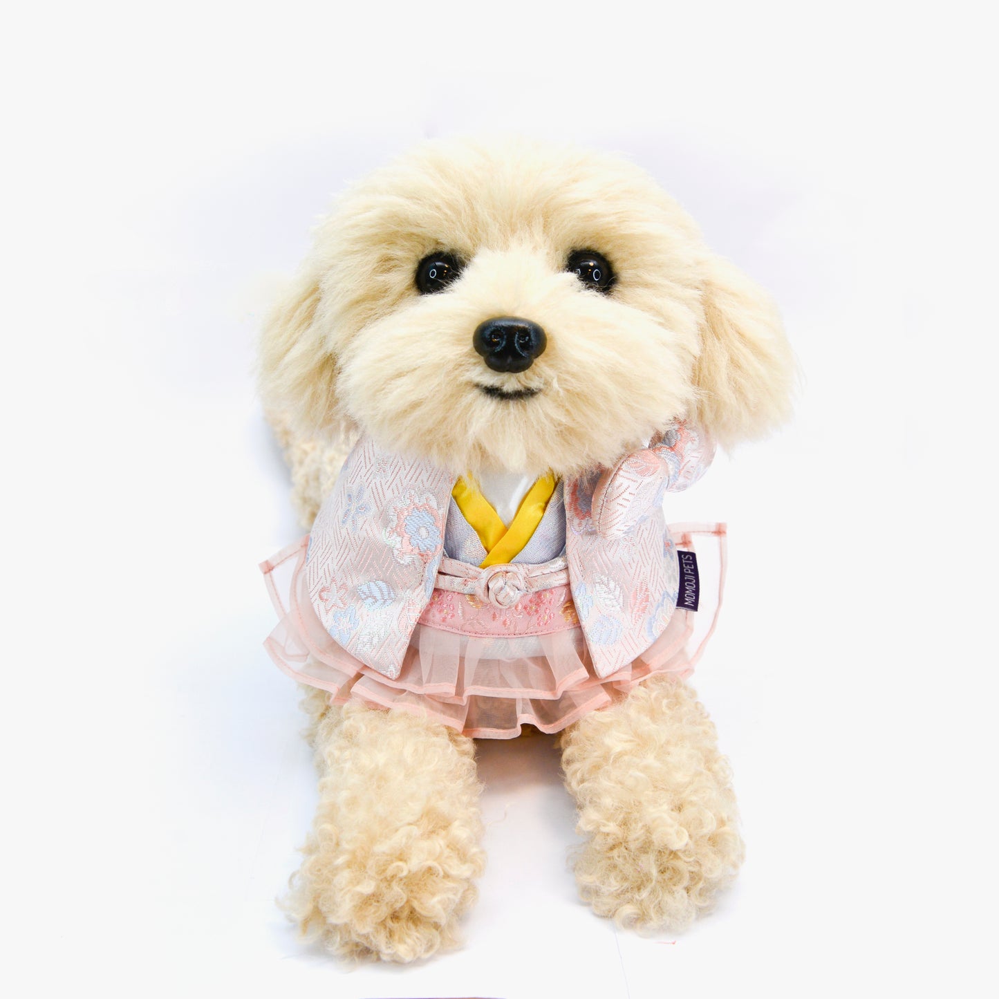 MOMOJI Shine | Pet Neckwear
