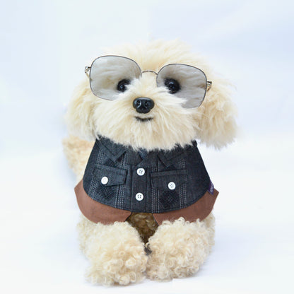MOMOJI Cyclone (龍捲風) | Pet Neckwear