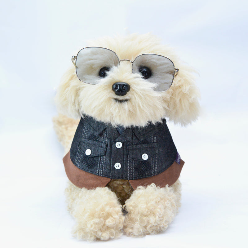 MOMOJI Cyclone (龍捲風) | Pet Neckwear