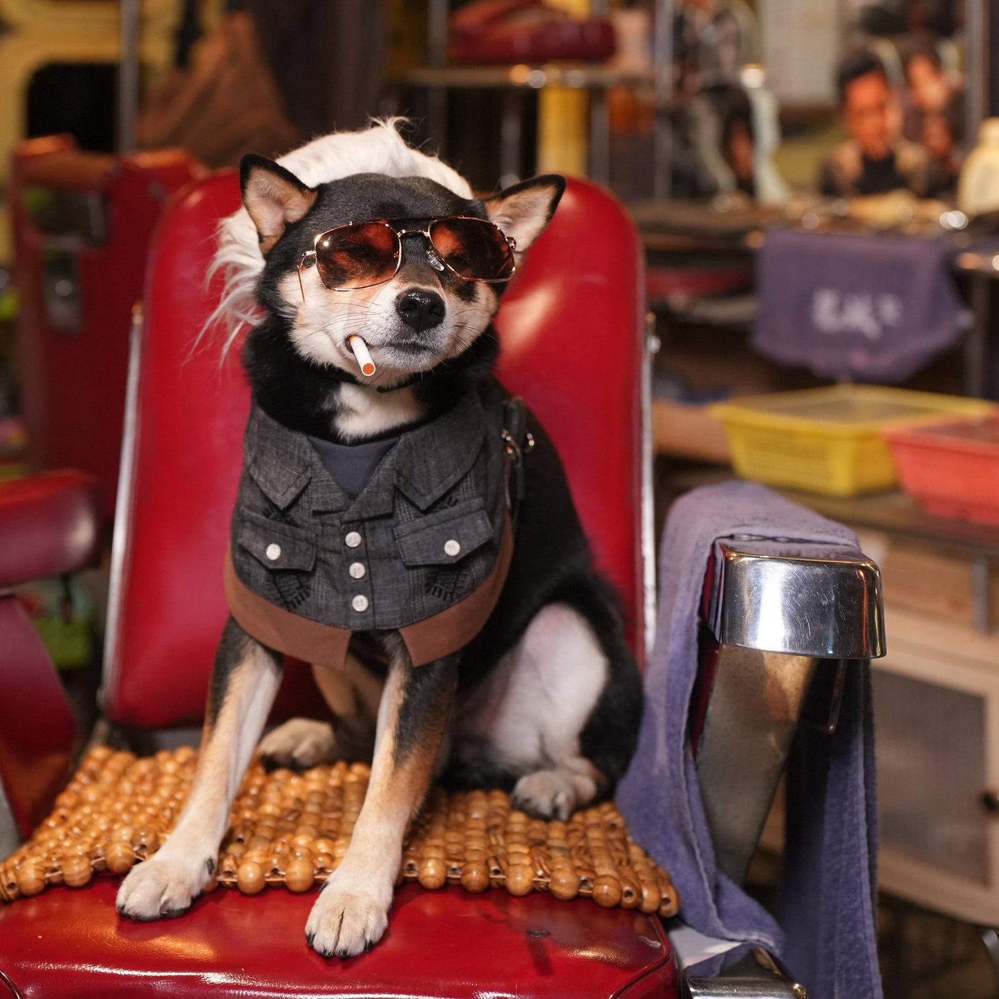MOMOJI Cyclone (龍捲風) | Pet Neckwear