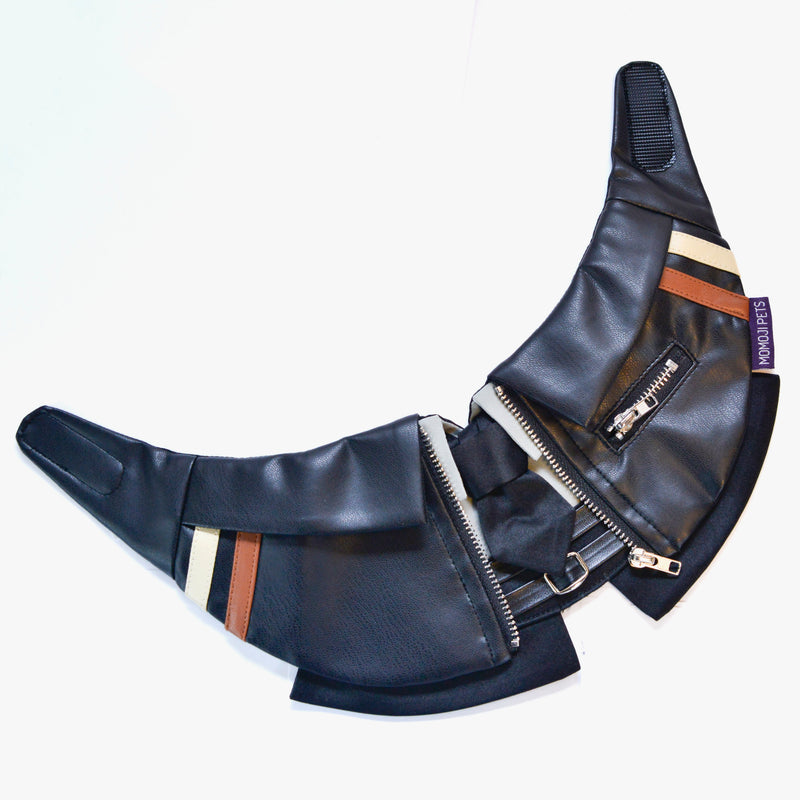 MOMOJI Shin (信一) | Pet Neckwear