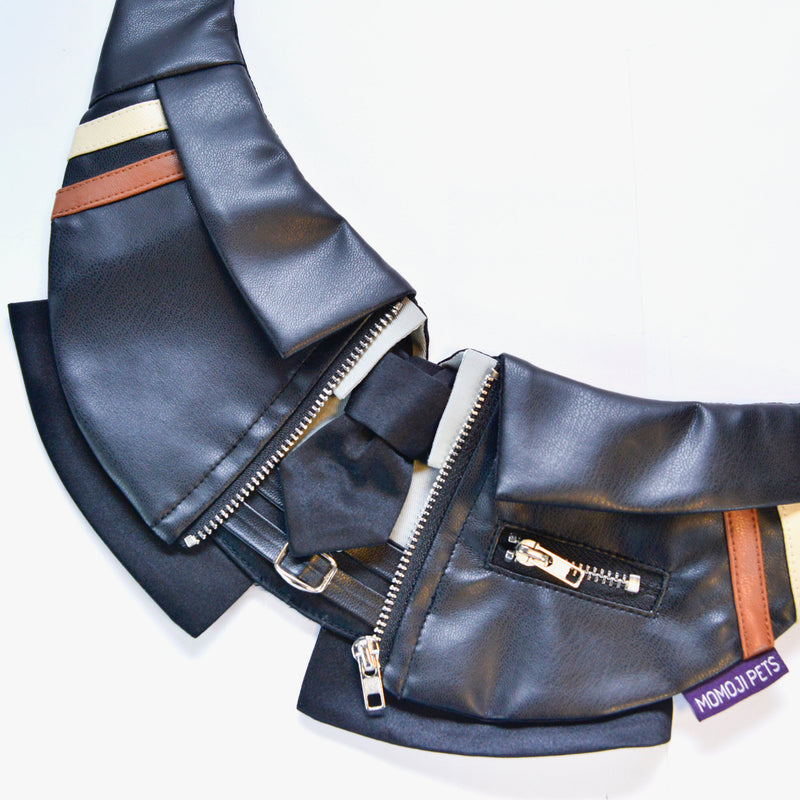 MOMOJI Shin (信一) | Pet Neckwear