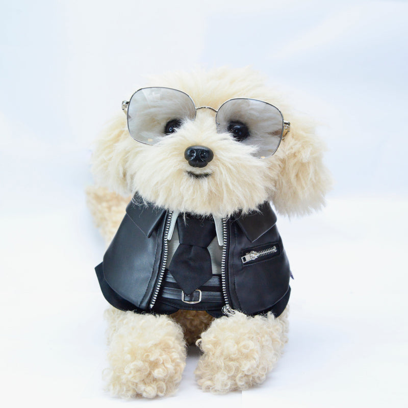 MOMOJI Shin (信一) | Pet Neckwear