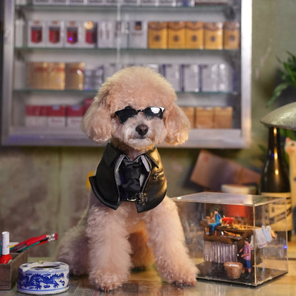 MOMOJI Shin (信一) | Pet Neckwear