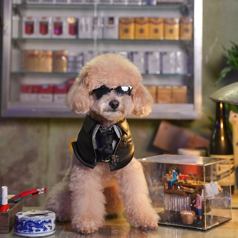 MOMOJI Shin (信一) | Pet Neckwear