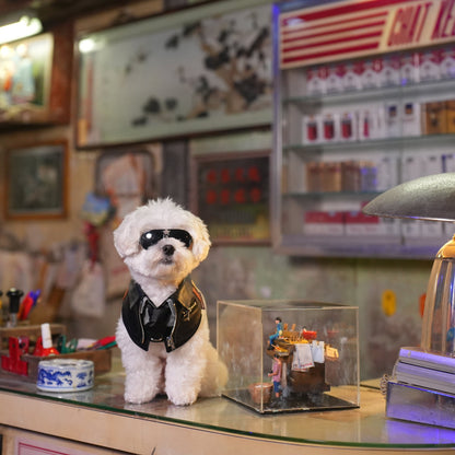 MOMOJI Shin (信一) | Pet Neckwear