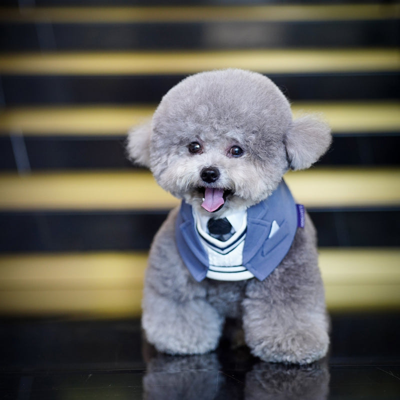 MOMOJI Joseph | Pet Bib