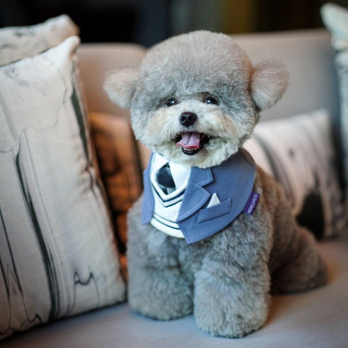 MOMOJI Joseph | Pet Bib
