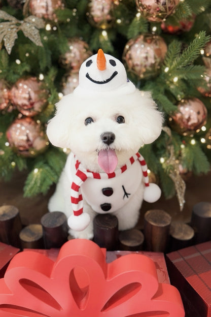 [Pre-order] MOMOJI Hat + Neckwear Set (Momosnow)