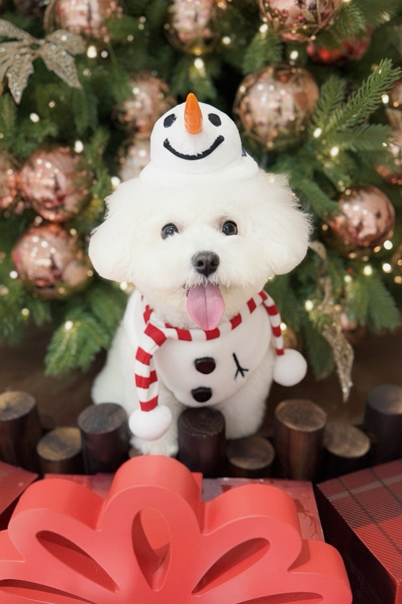 [Pre-order] MOMOJI Hat + Neckwear Set (Momosnow)