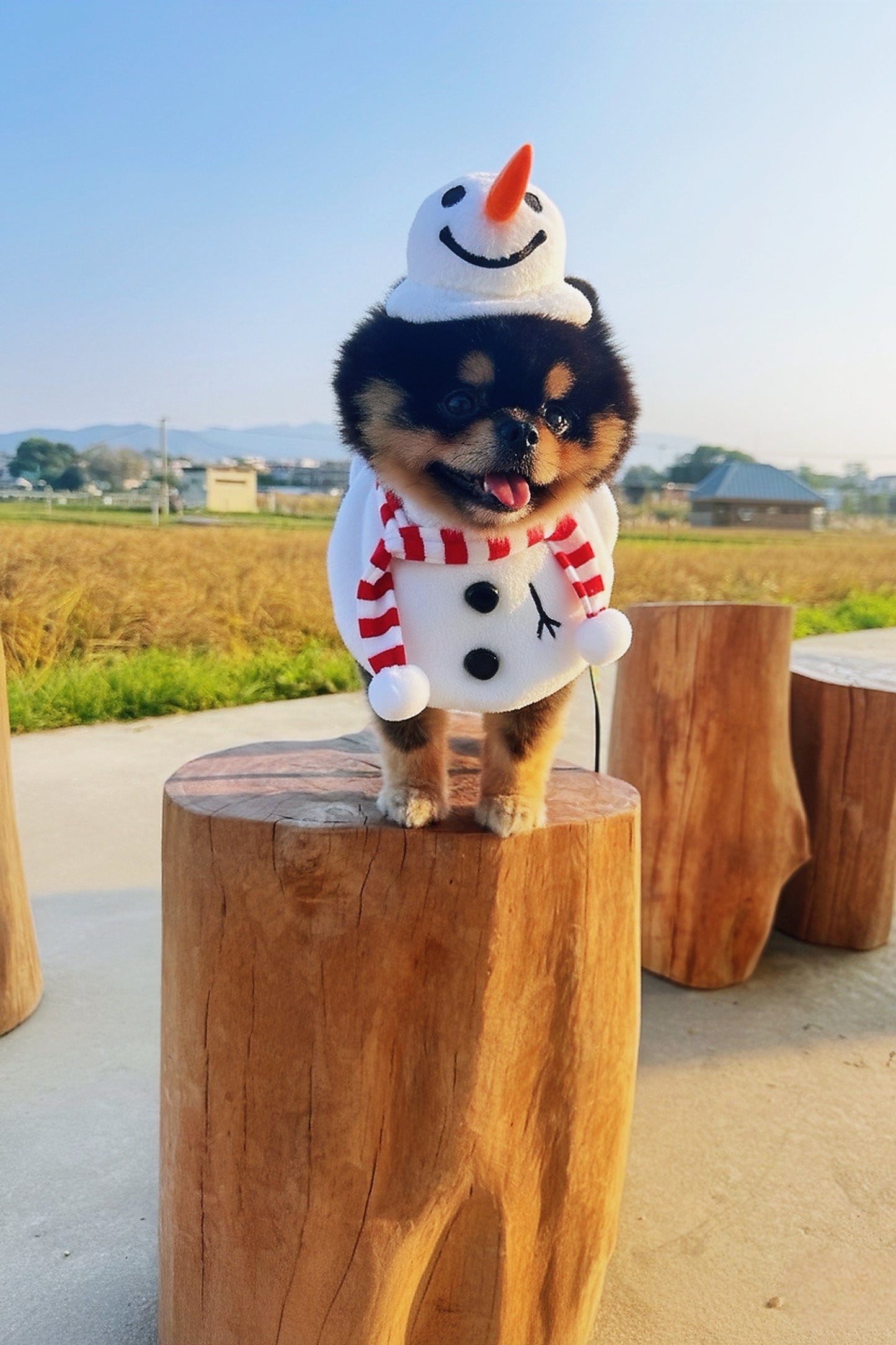 [Pre-order] MOMOJI Hat + Neckwear Set (Momosnow)