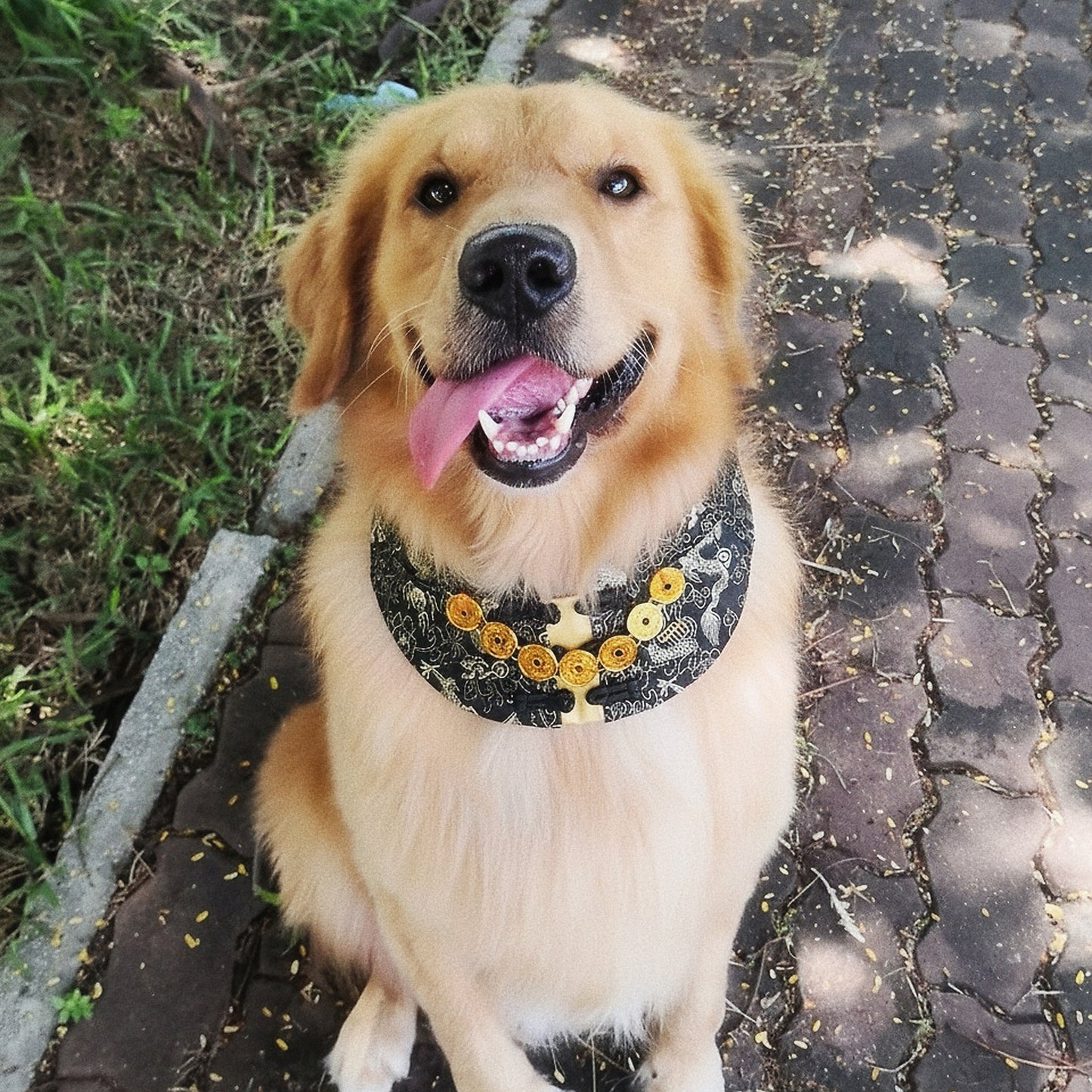 MOMOJI Amulet 金寶 | Pet LNY Neckwear