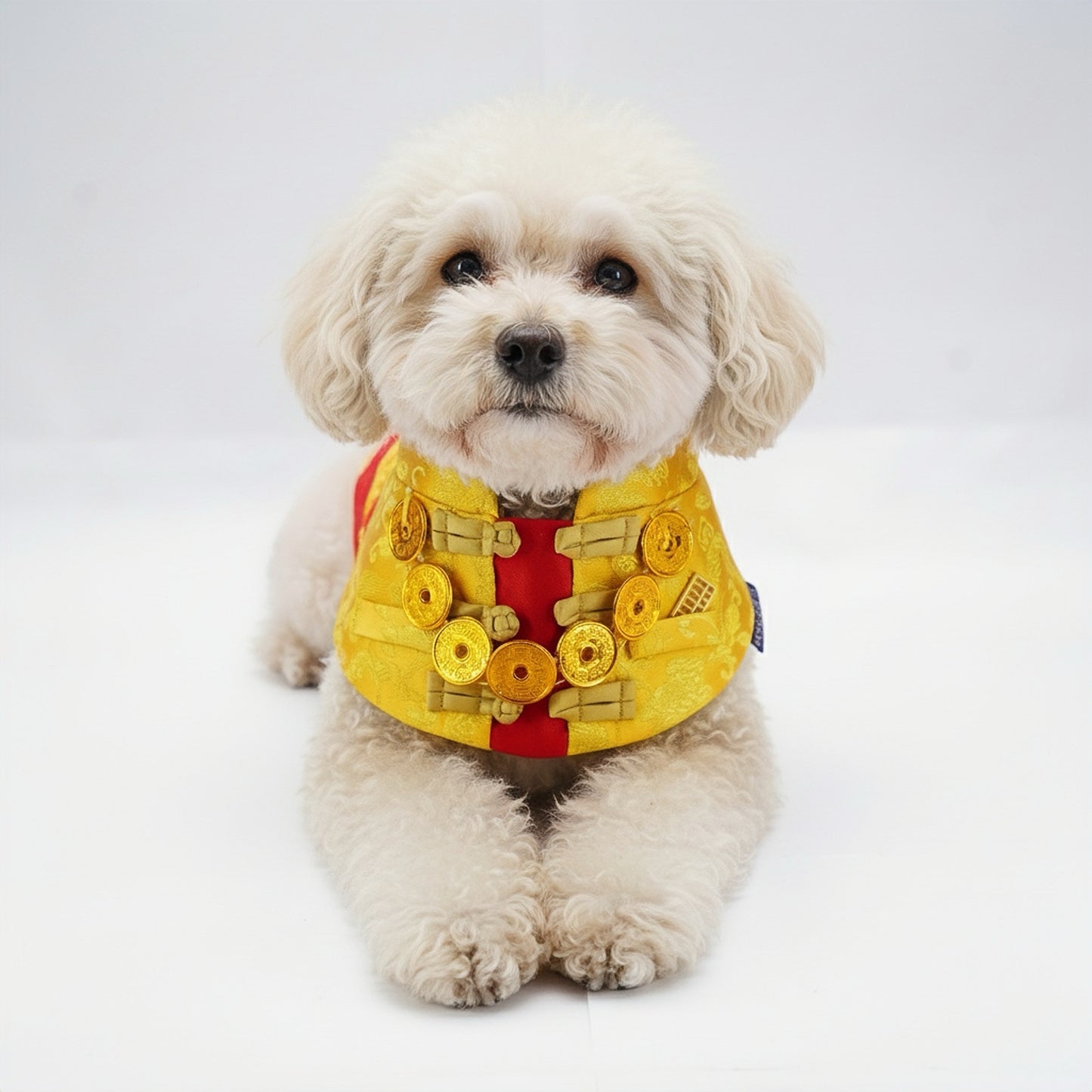 MOMOJI Amulet 金寶 | Pet LNY Neckwear