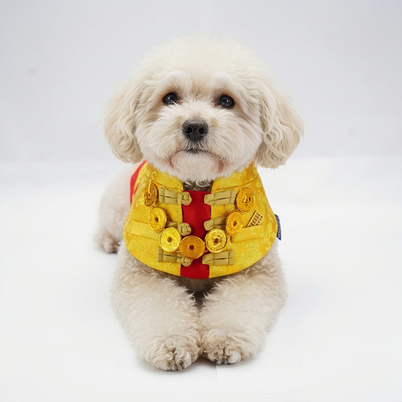 MOMOJI Amulet 金寶 | Pet LNY Neckwear