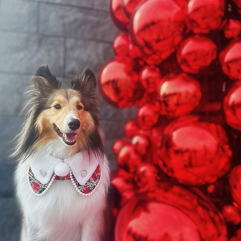 [Pre-order] MOMOJI Brittania | Pet Christmas Neckwear