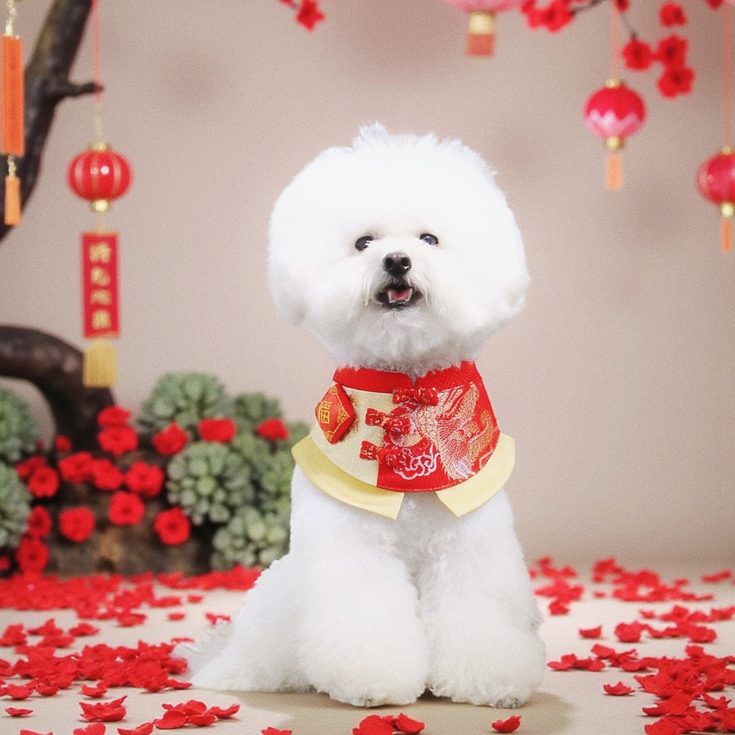 MOMOJI Dragon 龍騰 | Pet LNY Neckwear