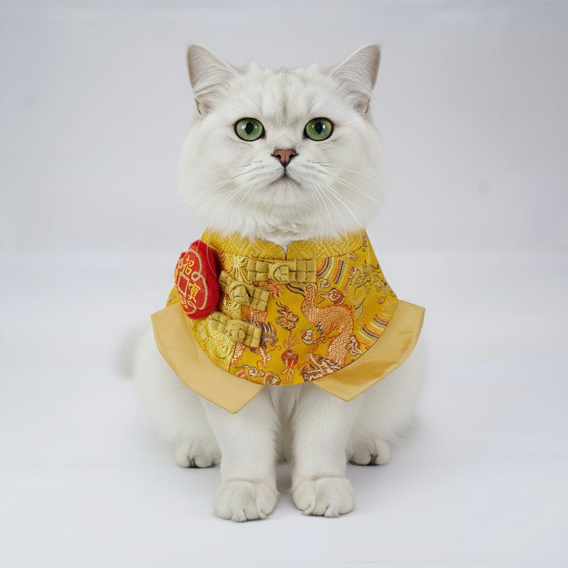 MOMOJI Dragon 龍騰 | Pet LNY Neckwear