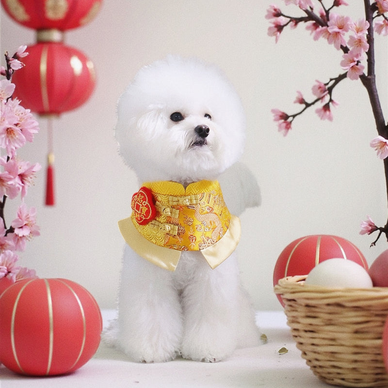 MOMOJI Dragon 龍騰 | Pet LNY Neckwear