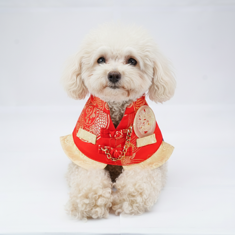 MOMOJI Noble 青雲 | Pet LNY Neckwear