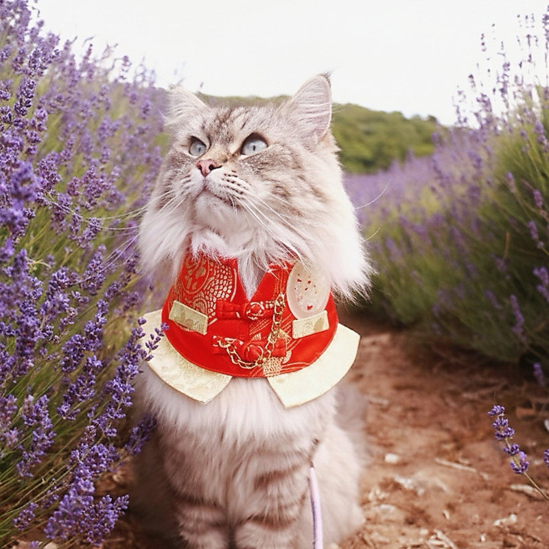 MOMOJI Noble 青雲 | Pet LNY Neckwear