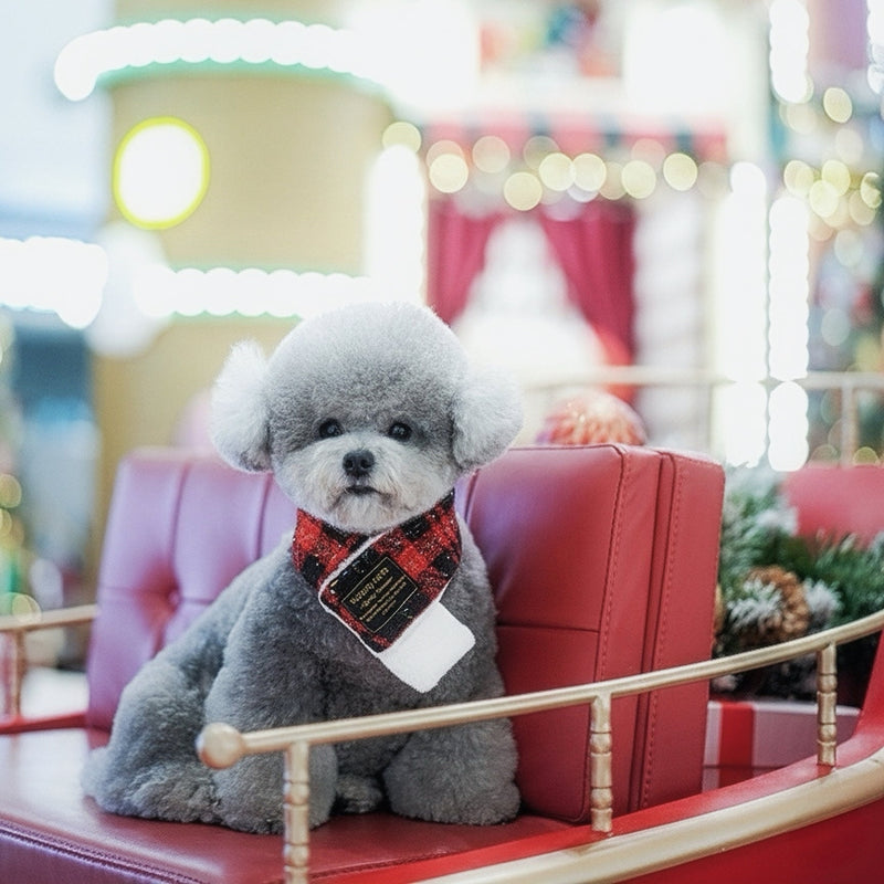 [Pre-order] MOMOJI Caine | Pet Christmas Neckwear