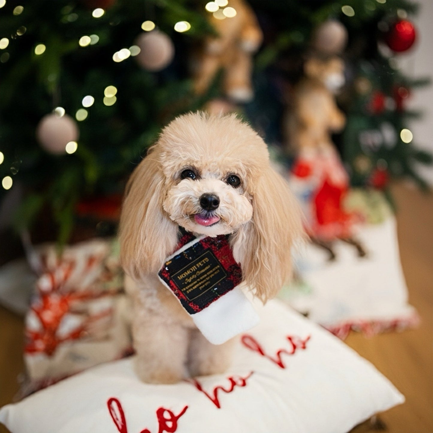 [Pre-order] MOMOJI Caine | Pet Christmas Neckwear