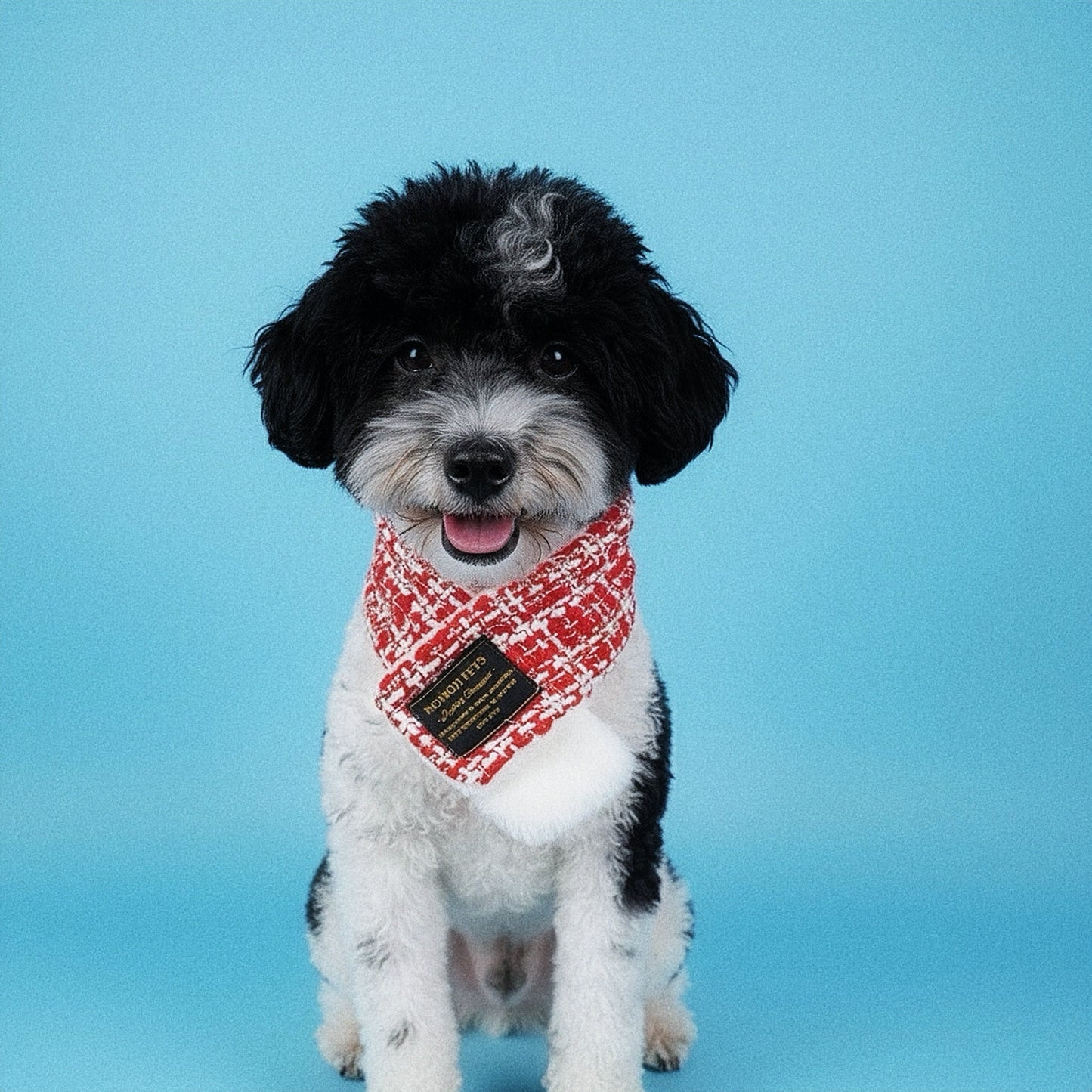 [Pre-order] MOMOJI Caine | Pet Christmas Neckwear