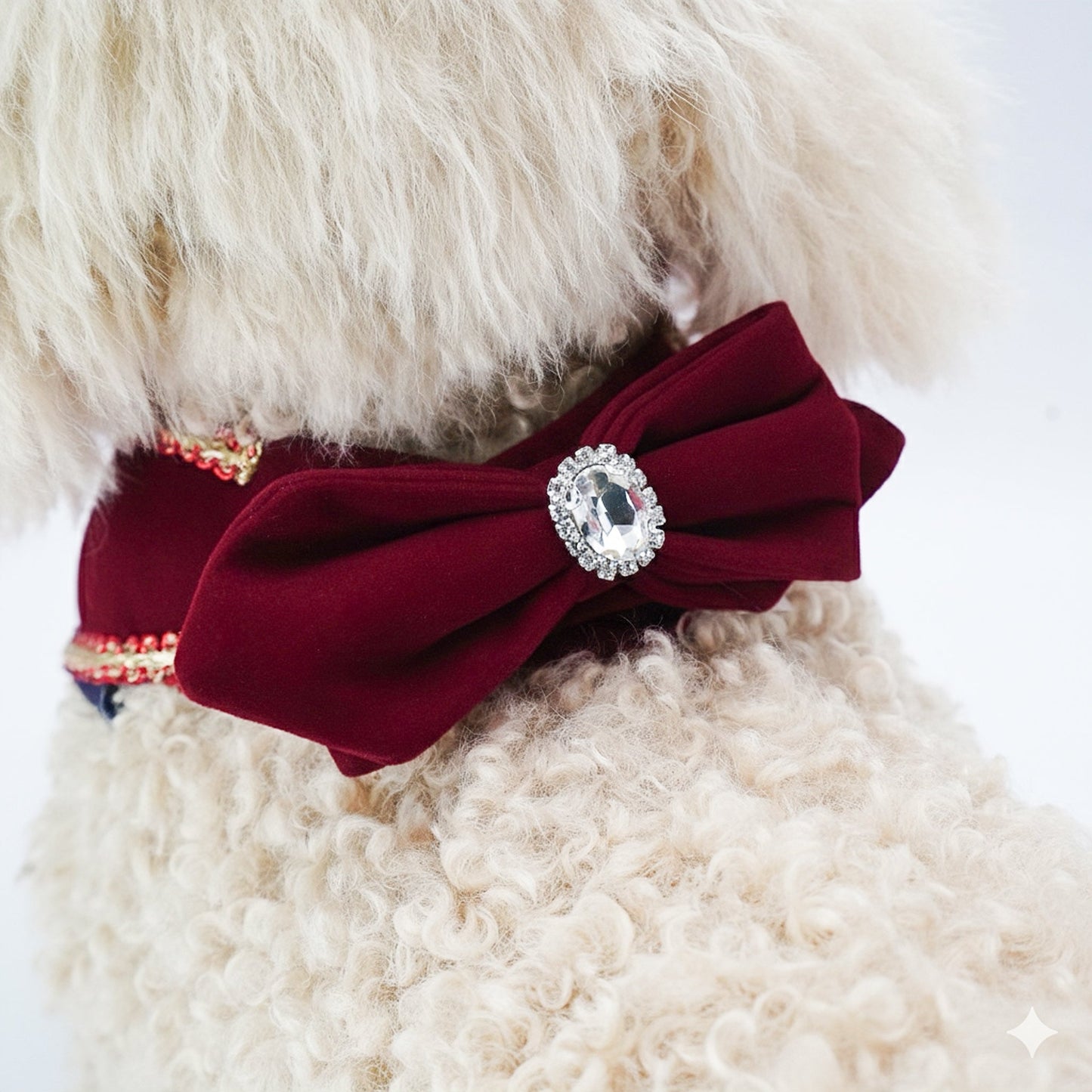 [Pre-order] MOMOJI Starry Night Lux | Pet Christmas Neckwear