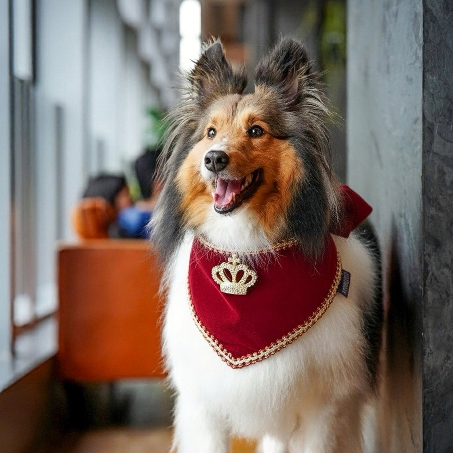 [Pre-order] MOMOJI Starry Night Lux | Pet Christmas Neckwear