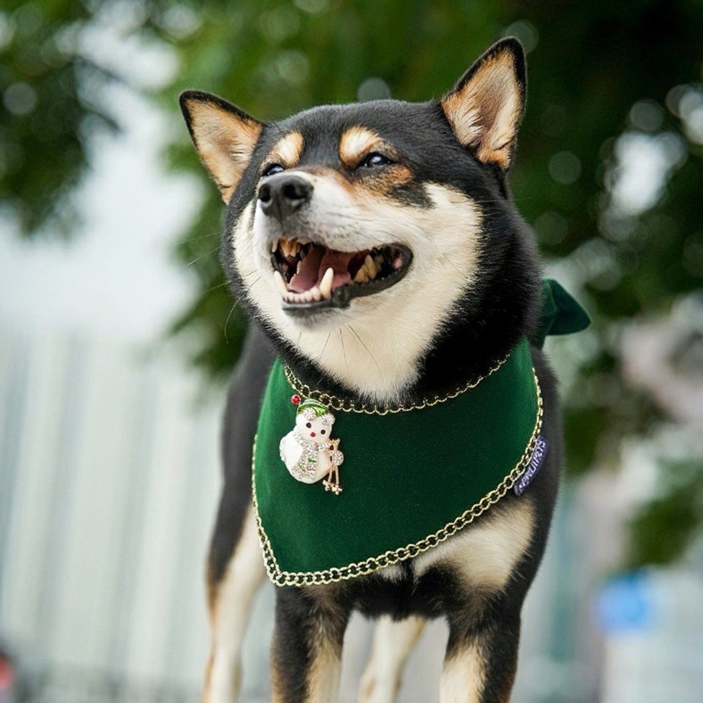 [Pre-order] MOMOJI Starry Night Lux | Pet Christmas Neckwear