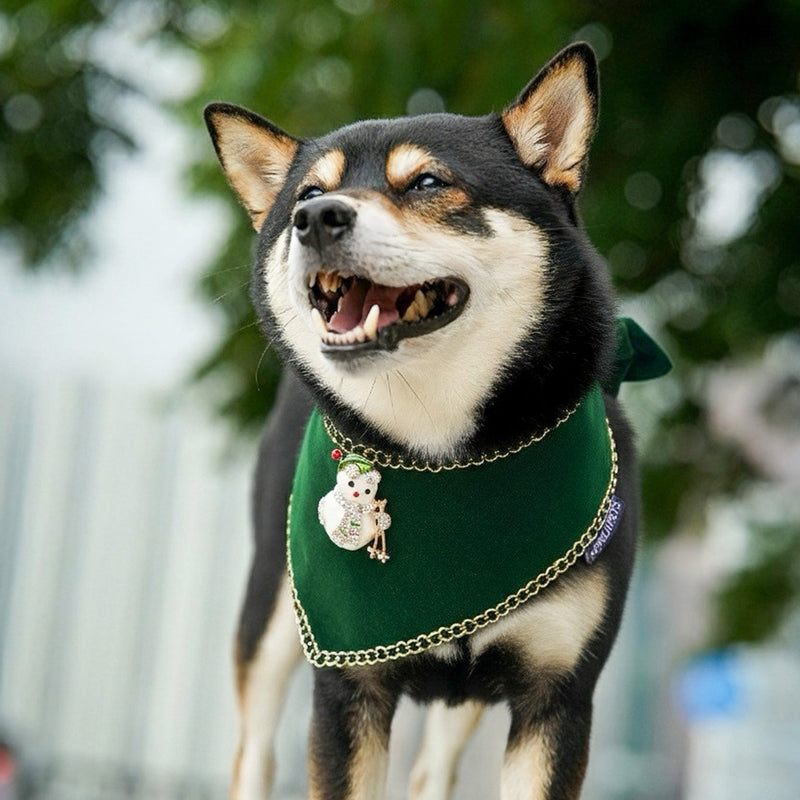 [Pre-order] MOMOJI Starry Night Lux | Pet Christmas Neckwear