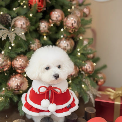 [Pre-order] MOMOJI Mrs Claus | Pet Christmas Neckwear